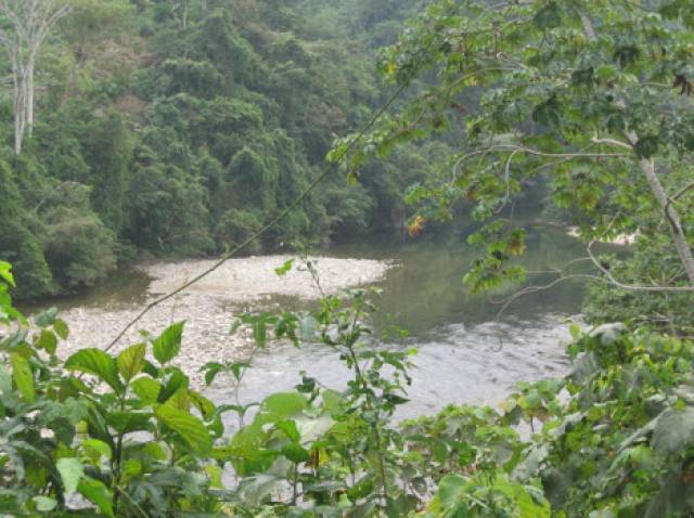 Venta Finca Santa Marta (Tayrona - Buritaca)