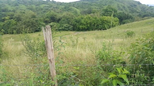 COLINA, VENTA DE TERRENO GRANDE CAMPESTRE