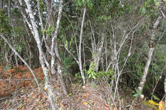 Lote en Guarne, vereda El Molino