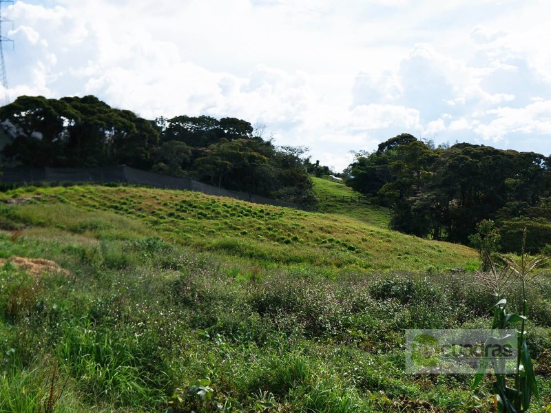 FINCA VIA SAN ANTONIO LA CEJA