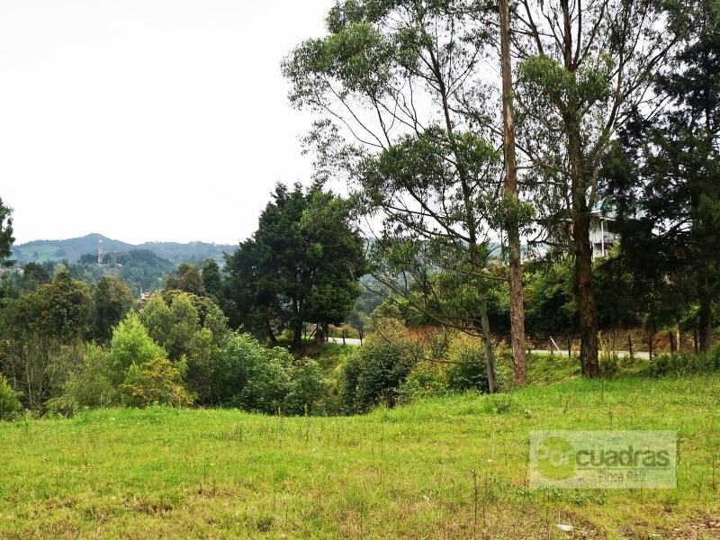 LOTE EN VENTA GUARNE