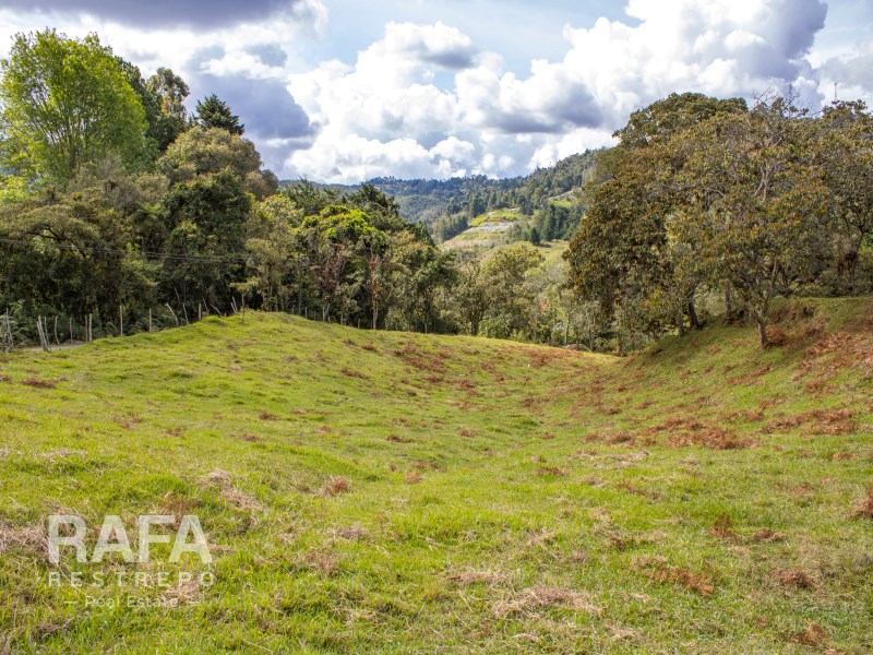 Lote en Venta, Rionegro, Sajonia, Unidad Abierta