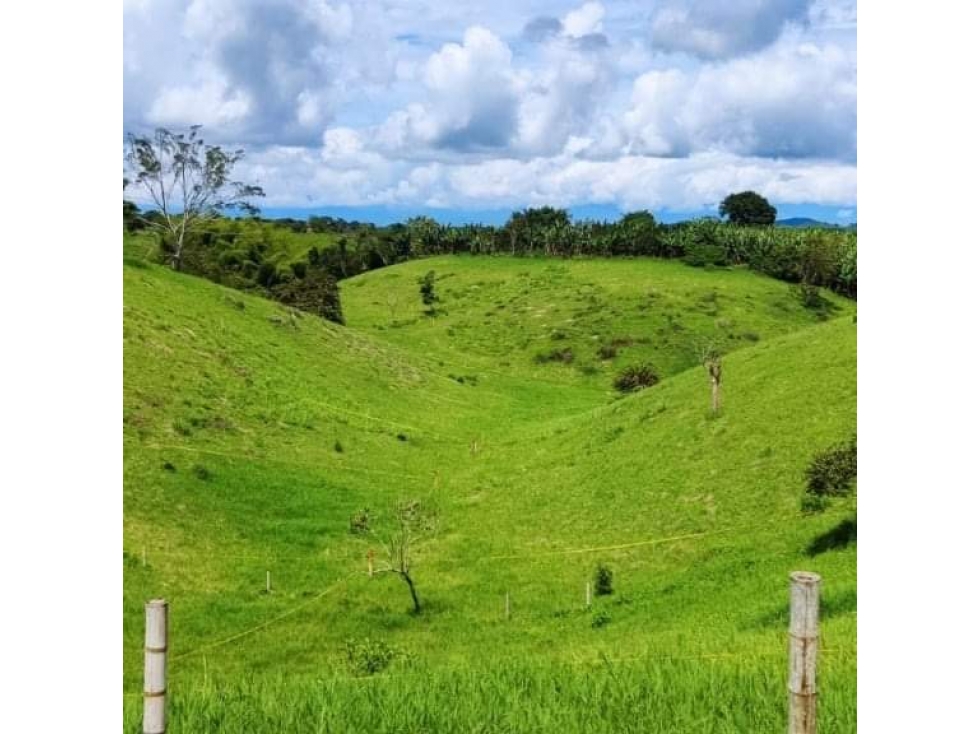 Lotes Campestres en Parcelación en Alcalá Valle vía a Cartago