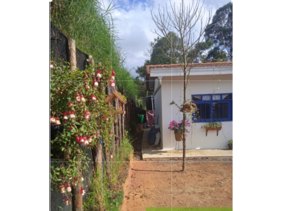 Venta de finca en el Carmen de Viboral