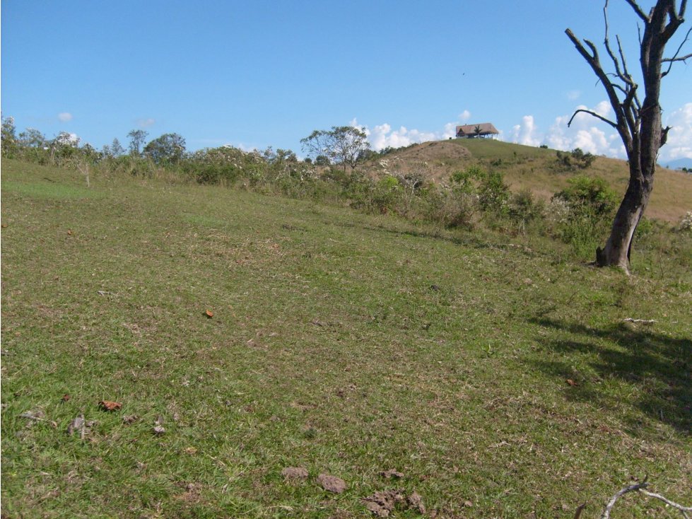 VENTA LOTE LA PINTADA, SUROESTE ANTIOQUEÑO UNIDAD CERRADA