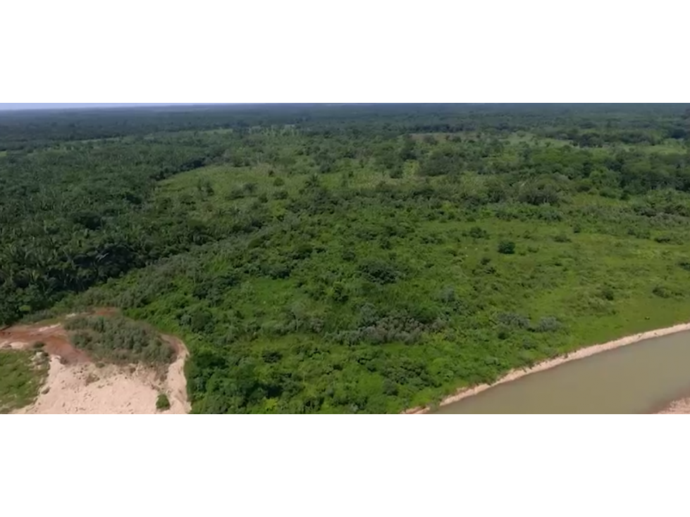 SE VENDE FINCA EN PAZ DE ARIPORO CASANARE