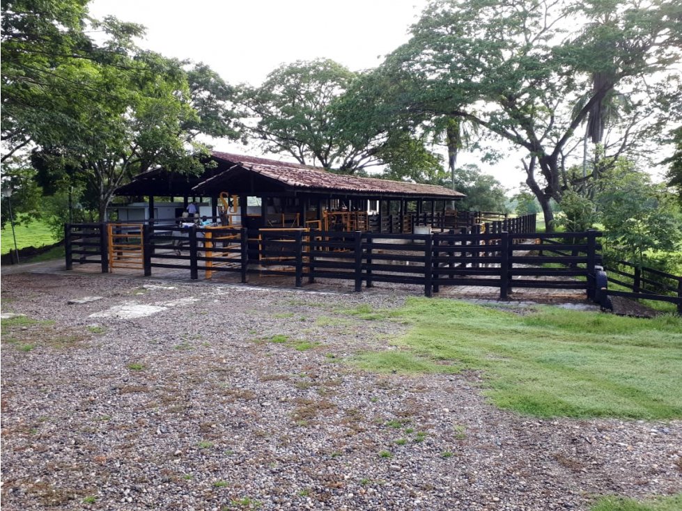 FINCA GANADERA GRANDE EN LA RUTA DEL SOL