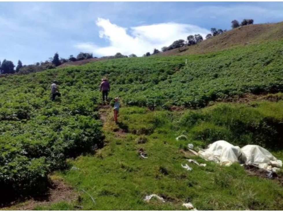 Venta de Lote Sector Vereda San Miguel Corregimiento de Mesopotamia