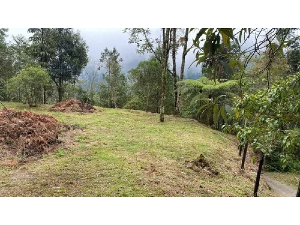 Venta de Lote Sector Vereda La Miel Caldas