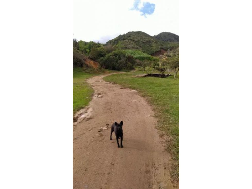 Venta de Finca Vereda La Magdalena San Vicente