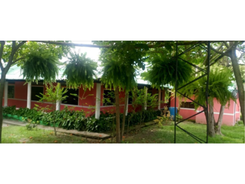 Venta de Finca En El Guamo Tolima