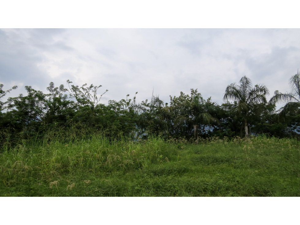 Venta Finca Anapoima