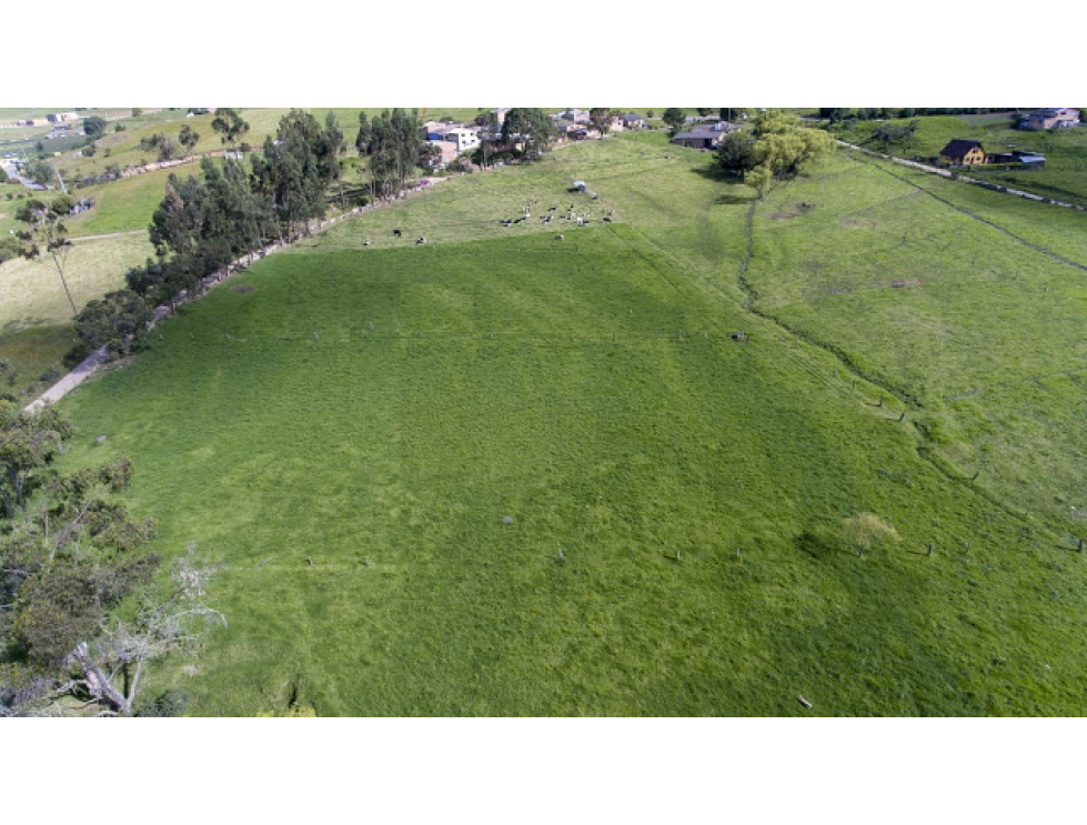 VENTA DE LOTES EN GUASCA CUNDINAMARCA