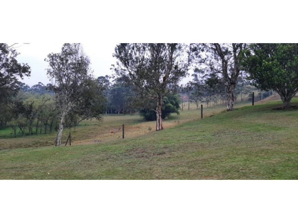 Lote en Venta en Guarne