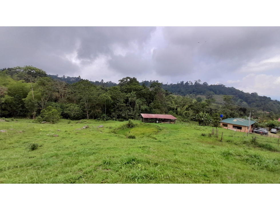 Lote en Vereda Antioquia (El Colegio)