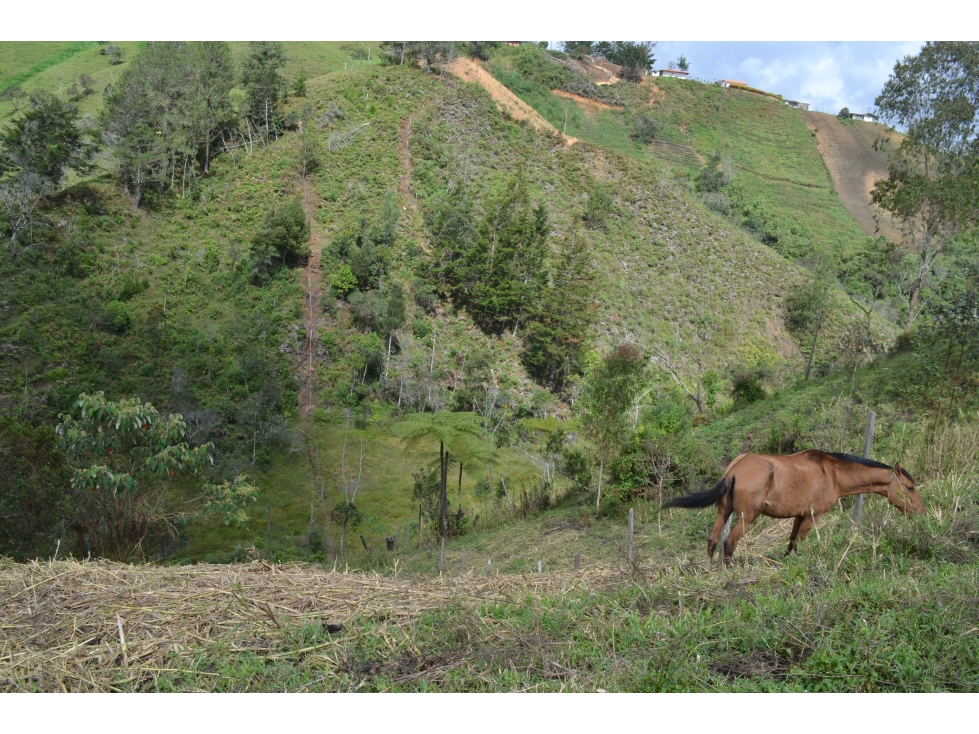 SE VENDEN LOTES EN PARCELACION SAN VICENTE FERRER DESDE 140 MILLONES