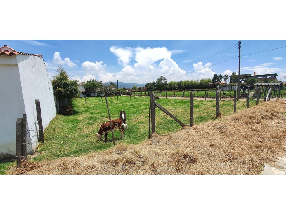 Lote en  Vereda Canelon(Cajica) RAH CO: 23-224