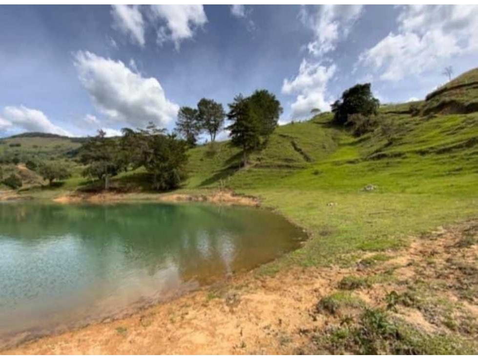 Lote en Venta Guatape