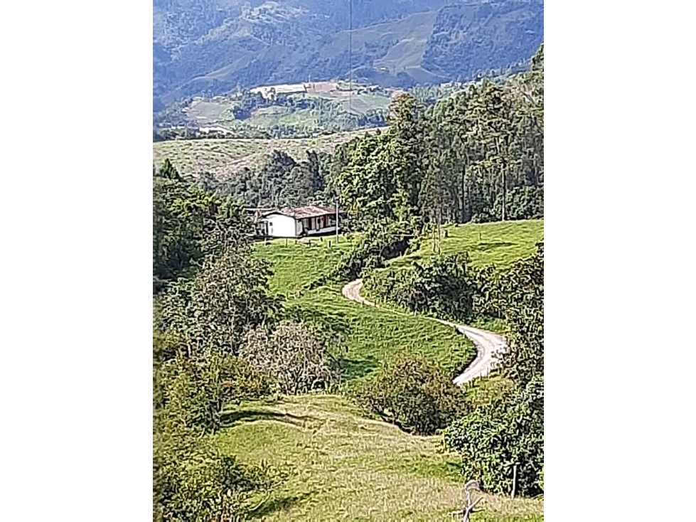 Vendo finca en Villamria Caldas