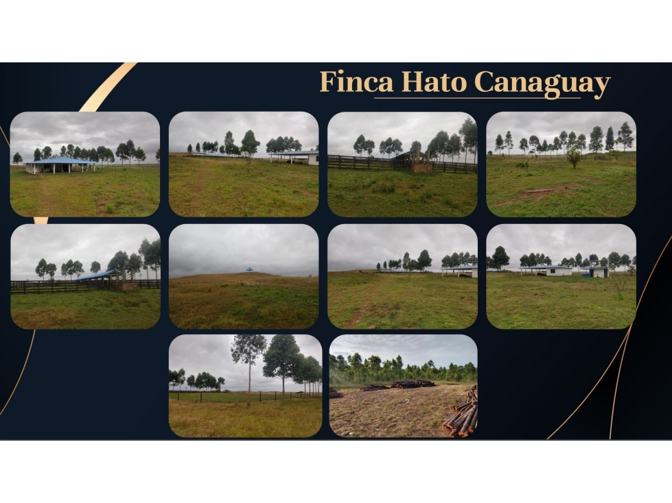 Vendo FINCA HATO CANAGUAY PTO.LOPEZ  