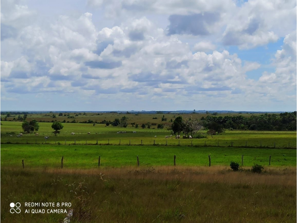 VENTA FINCA PUERTO GAITAN  VEREDA MURUJUI