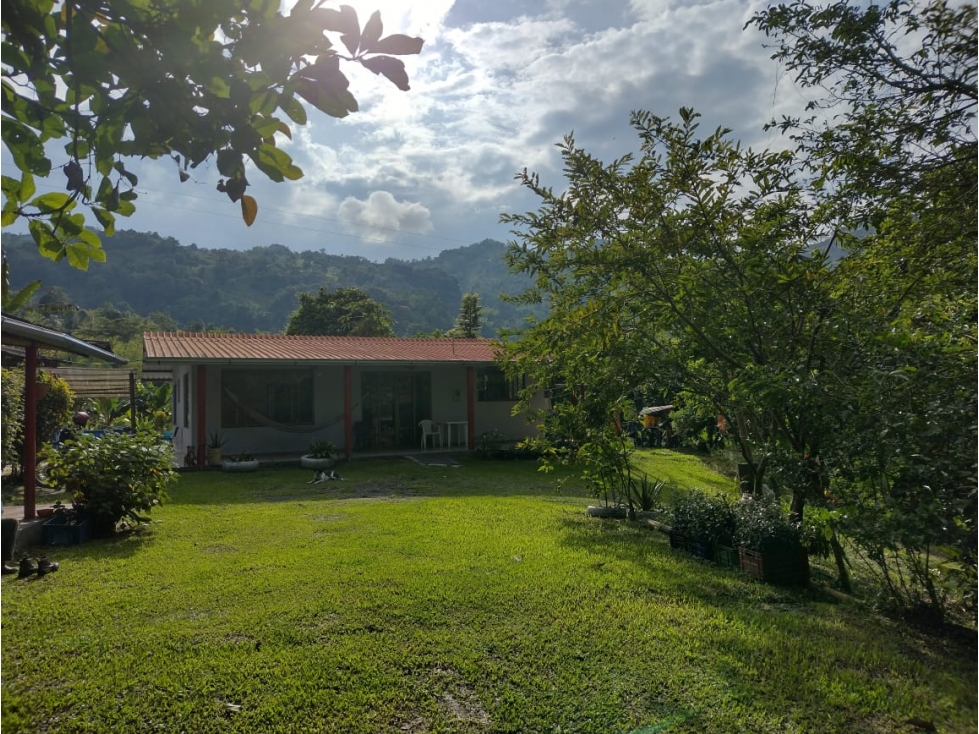 VENTA FINCA EN VERGARA EN CUNDINAMARCA