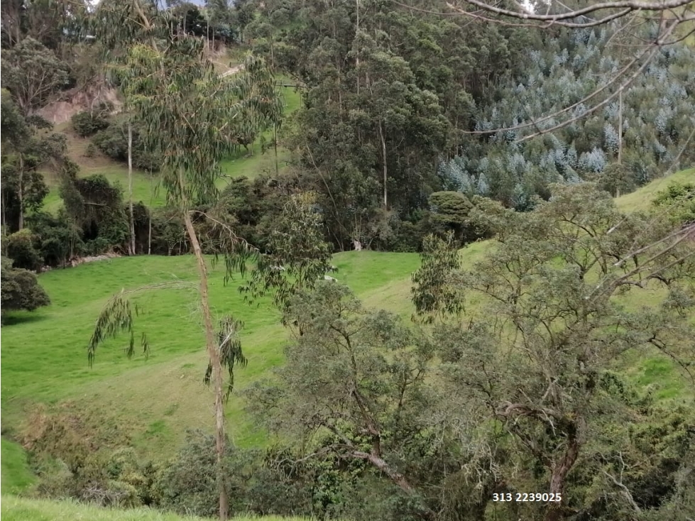 VENDO FINCA EN LA VEREDA SAN JORGE-ZIPAQUIRÁ.(REF. Z/5)