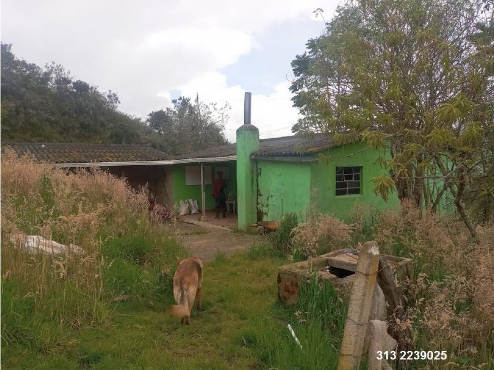 VENDO FINCA EN USME-CUNDINAMARCA (REF. F/43)