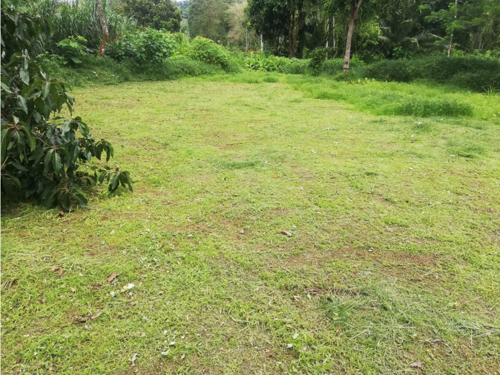 SE VENDE LOTE LAS MARGARITAS MAS ADELANTE DE ARAUCA