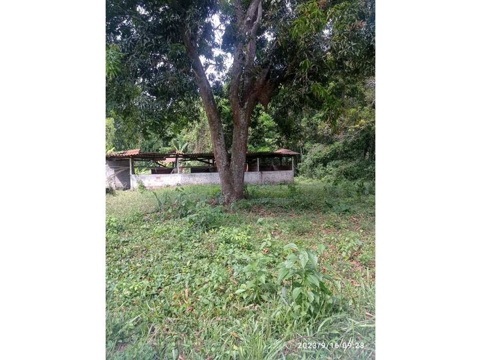 VENDO FINCA GANADERA SAN LUIS TOLIMA. EA