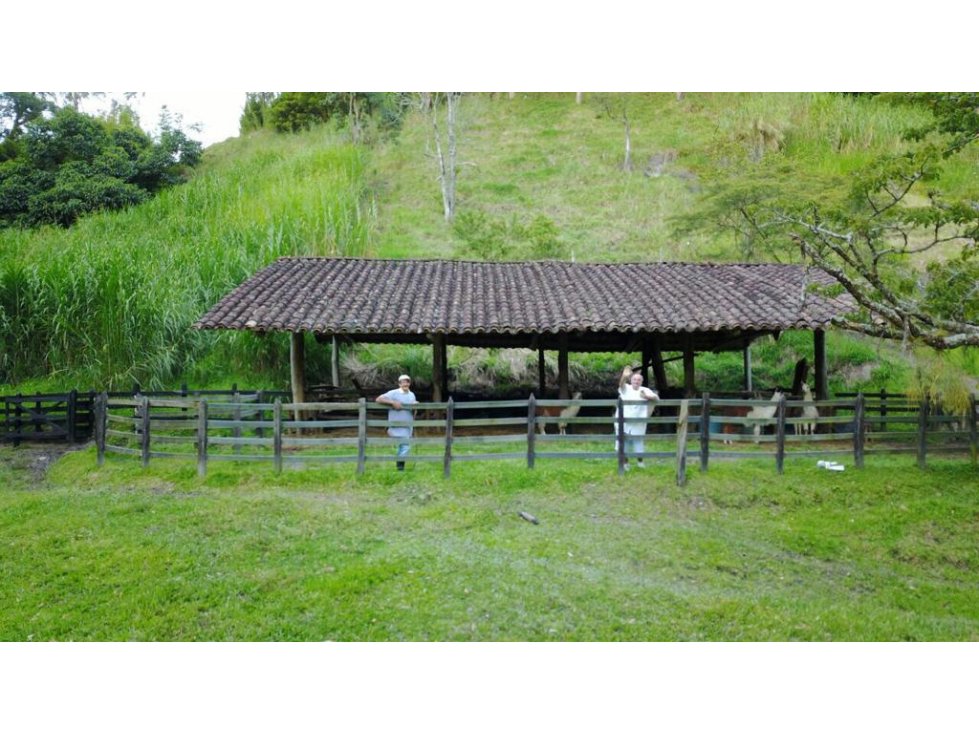 Vendo Finca GIRARDOTA Antioquia (también recibo criptomonedas)