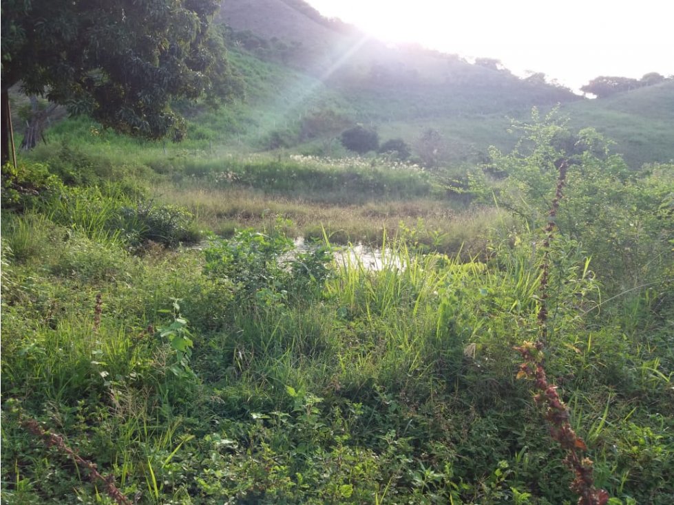 Finca en Anapoima Cund, 36 fanegadas