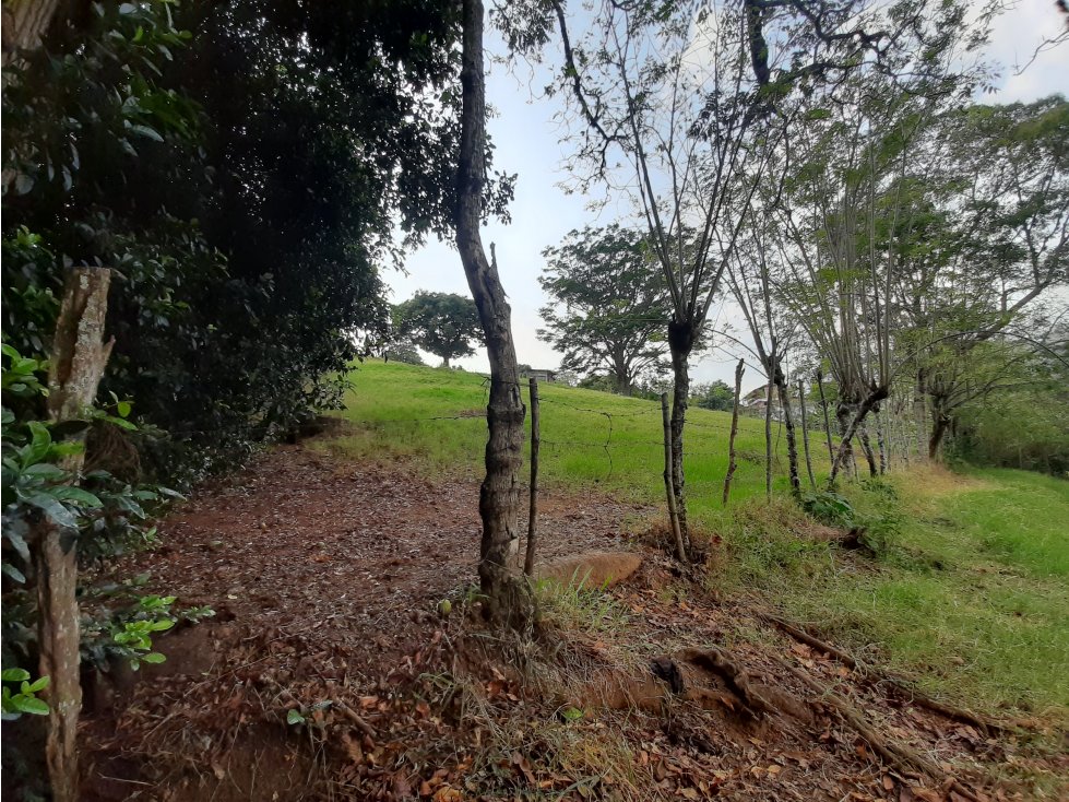 Venta Finca Damasco Santa Barbara suroeste antioqueño