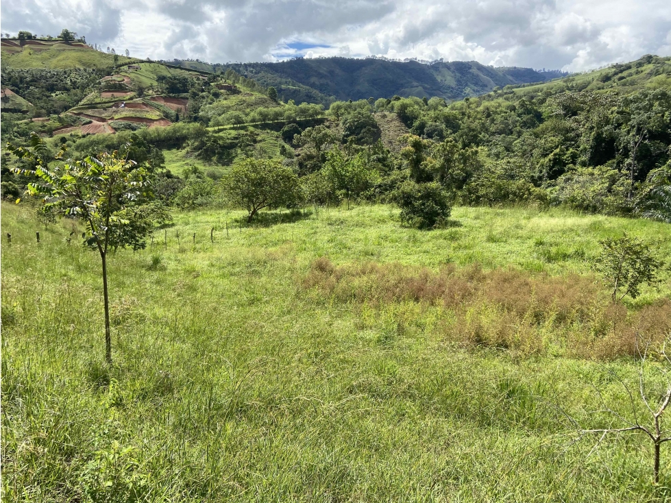 VENTA LOTE CIUDAD BOLIVAR