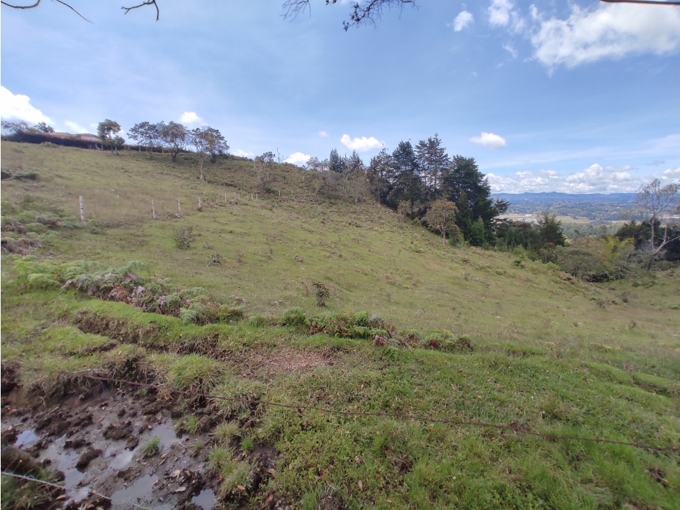 Venta de Lote Independiente Llanogrande