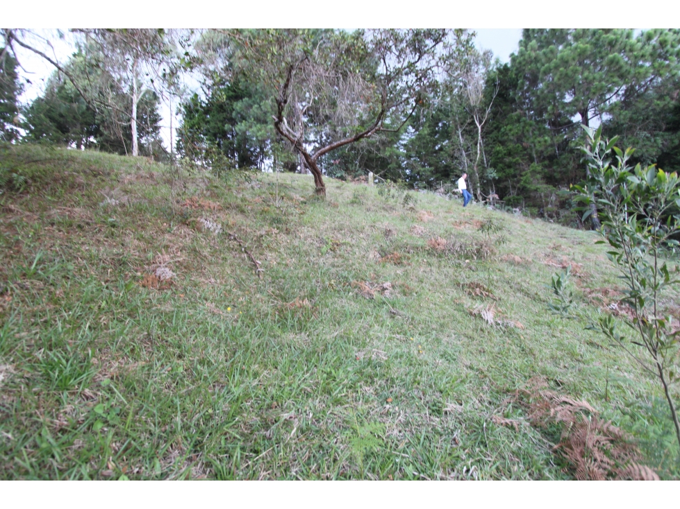 Lotes en Guarne, sector Piedras Blancas