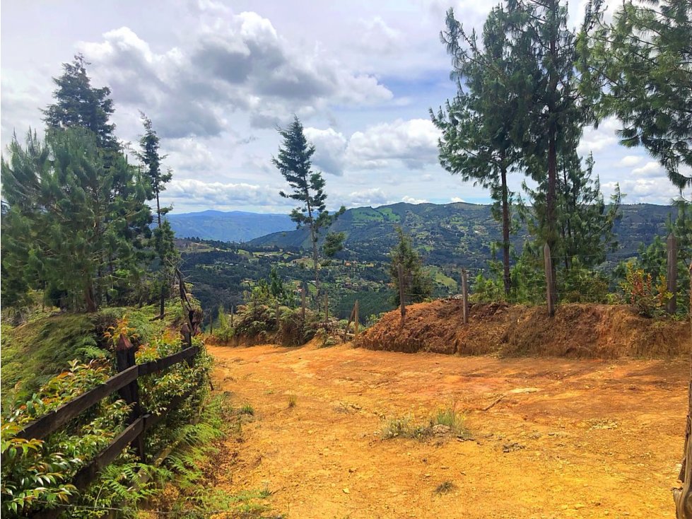 Lote en Guarne, Batea seca