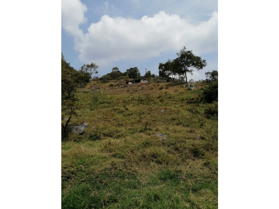 FINCA en VENTA en Charta Bucaramanga Santander