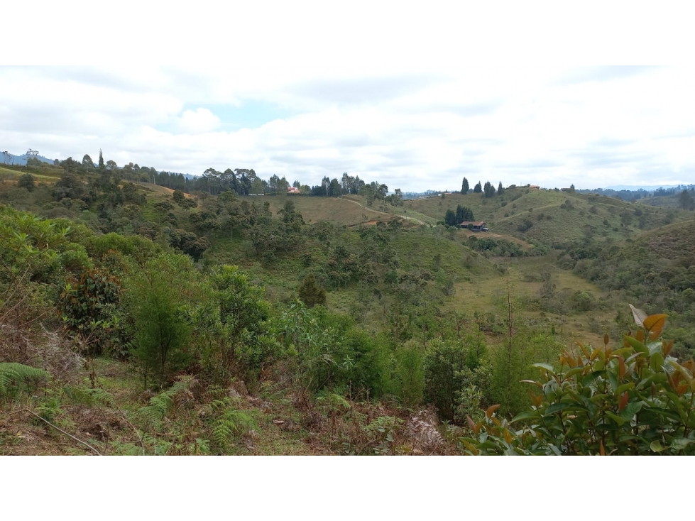 Se vende Lote en guarne de 128.768m2