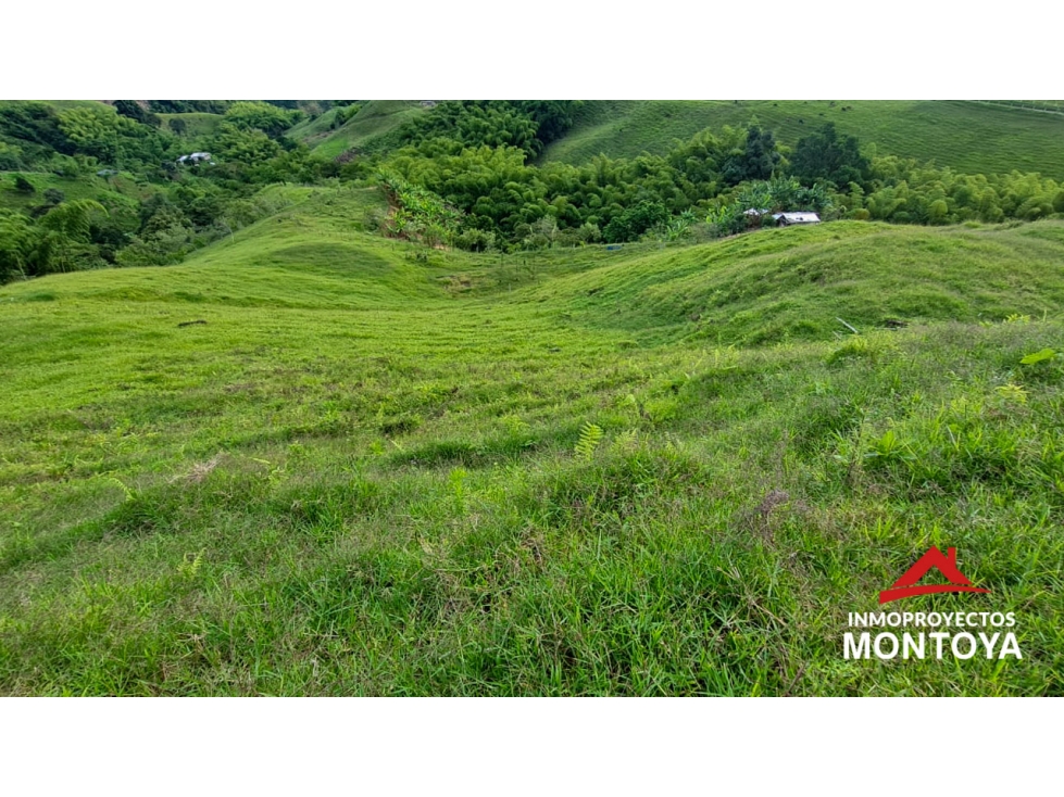 Lotes multipropósito en Altagracia, Pereira