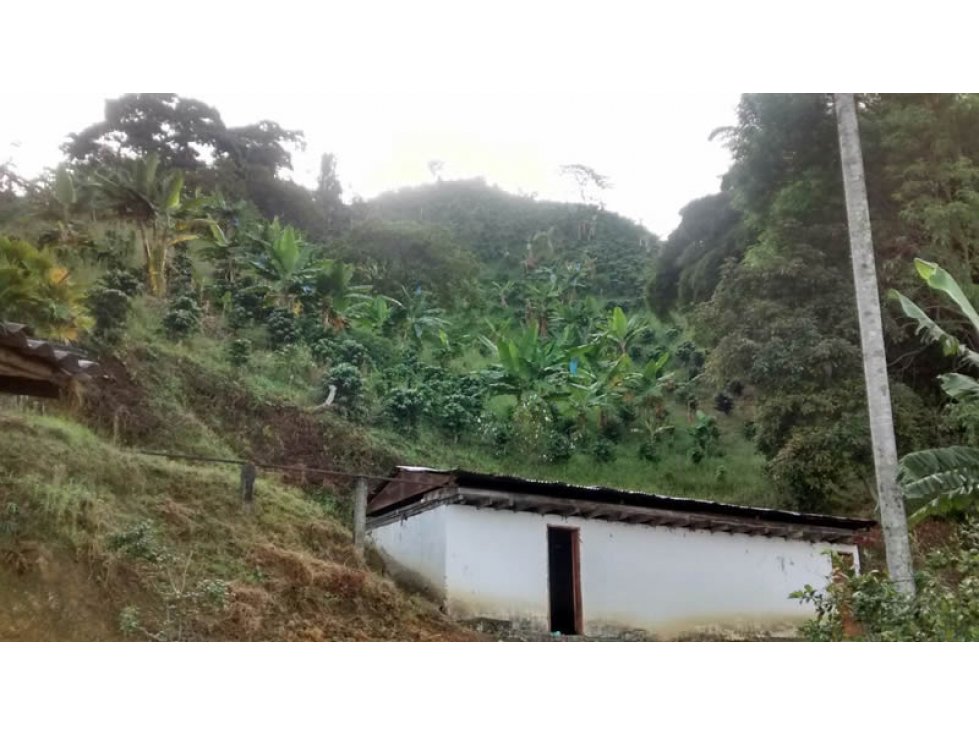 Venta Finca Calarca Quindio COD: 171489