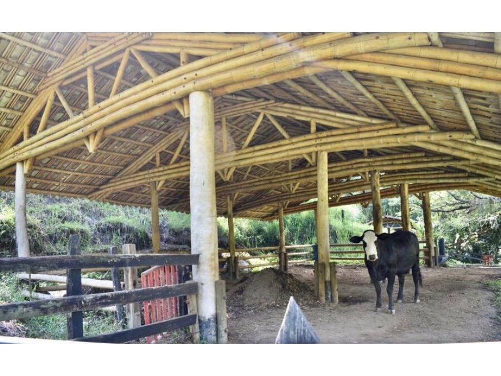 Venta Finca Girardota Corregimiento Cabildo Antioquia