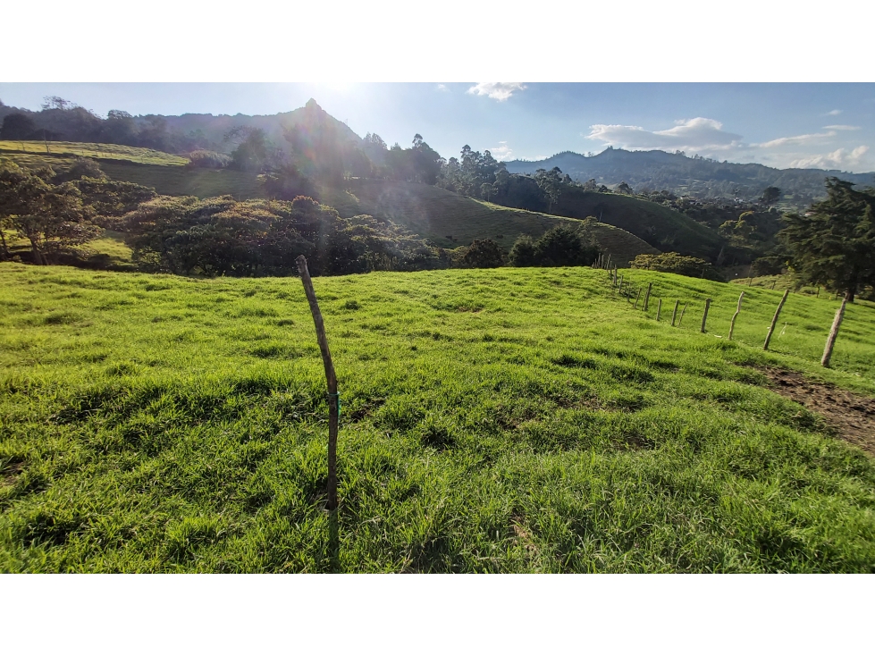 VENTA DE LOTE #3 PONTEZUELA, RIONEGRO ANTIOQUIA 