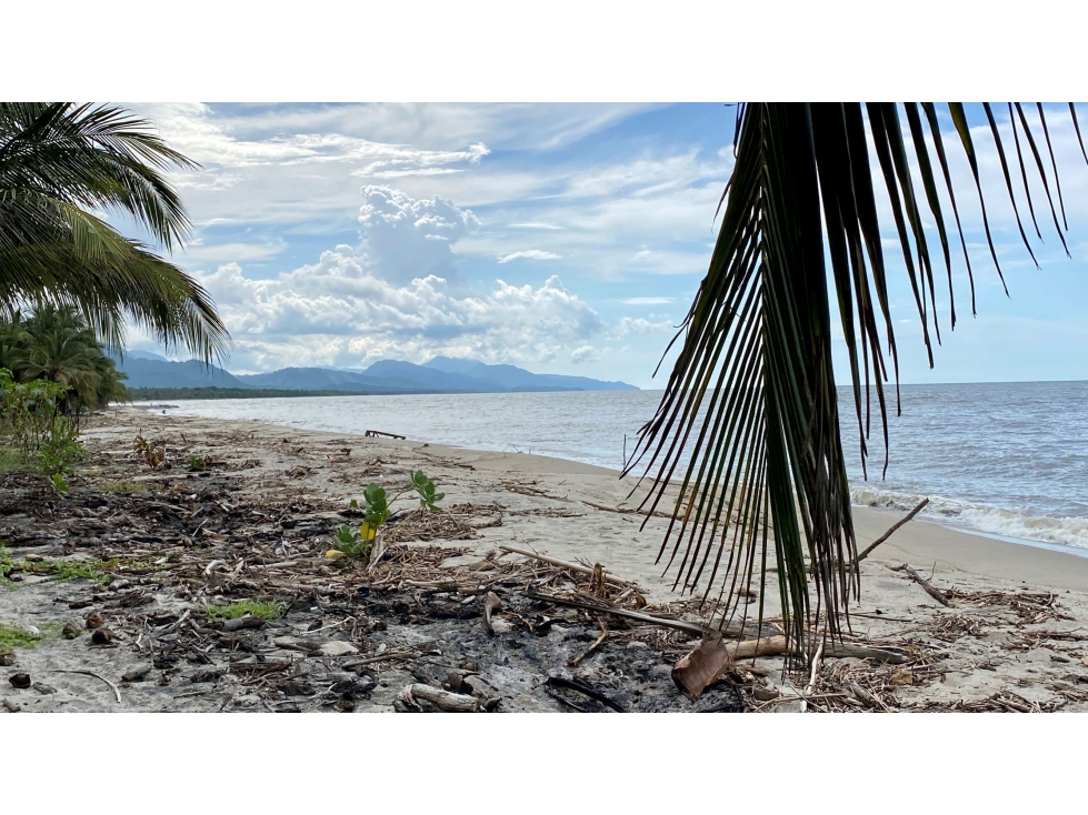 VENTA LOTE CON PLAYA EN TAYRONA BURITACA GUACHACA SANTA MARTA