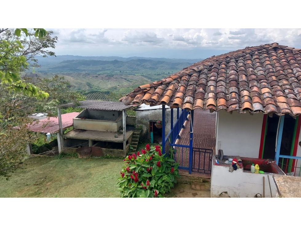 Se vende Finca Sevilla Valle del Cauca