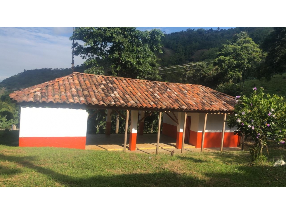 Se vende Finca en Pijao Quindío