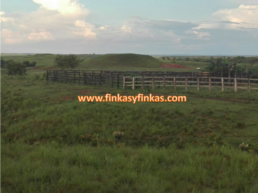 Se vende Finca en el Meta