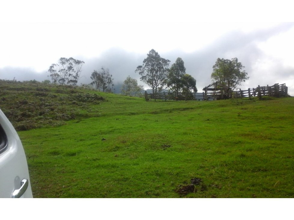 Se vende Finca Génova Quindío