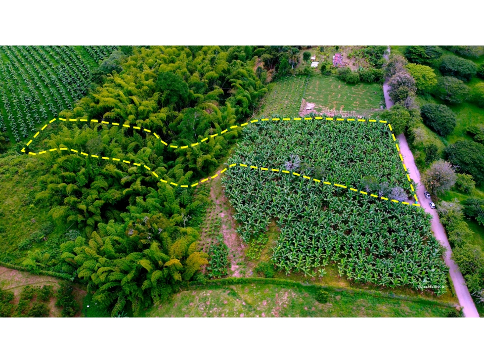 Se vende Lote Pueblo Tapao Quindío