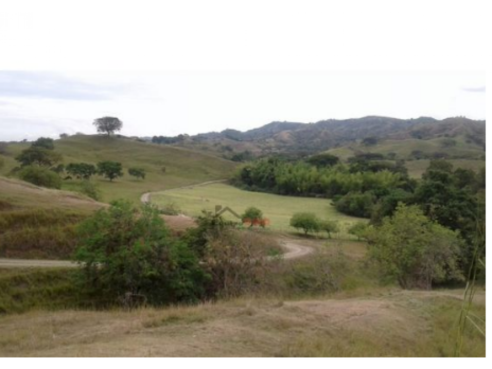 Venta Finca en Candelaria, Valle, Cañera